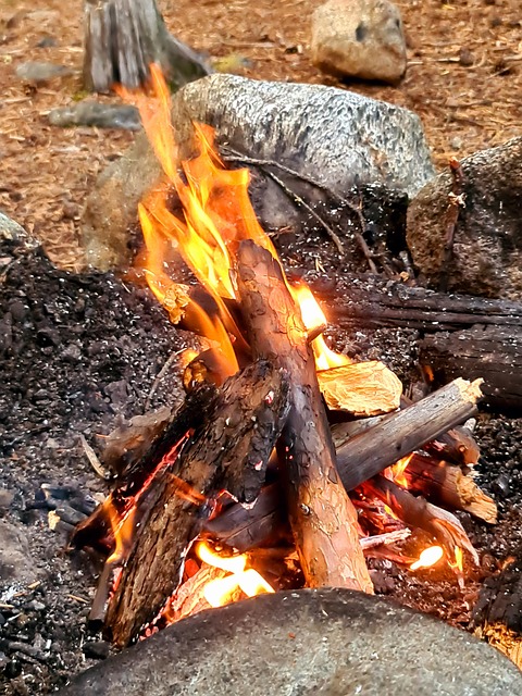 Free Campfire Wood photo and picture