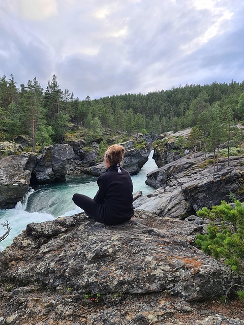 Free Waterfall Flow photo and picture