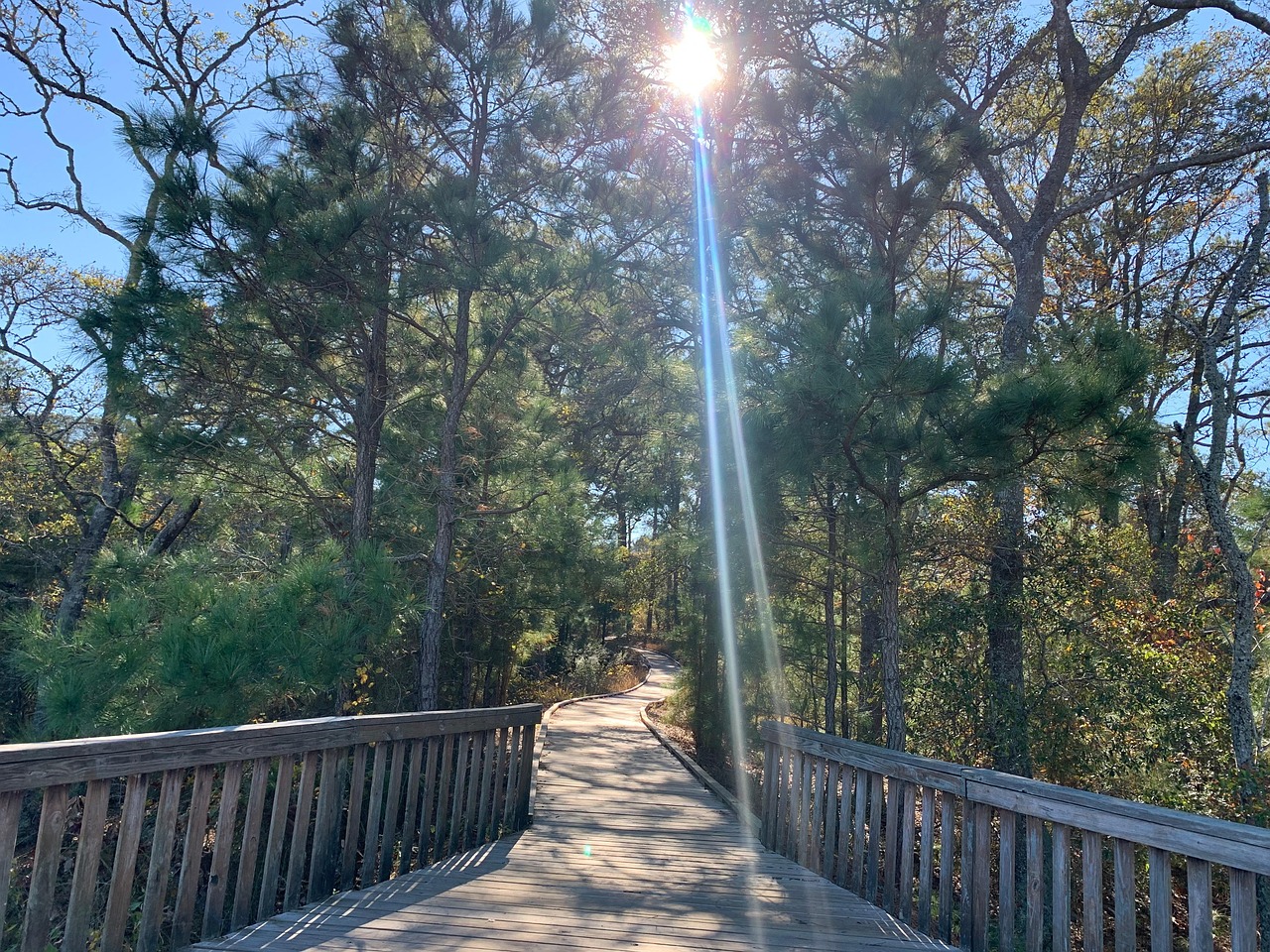 Light Hope - Free photo on Pixabay - Pixabay