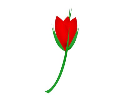 Rosenknospe, Happy Valentines