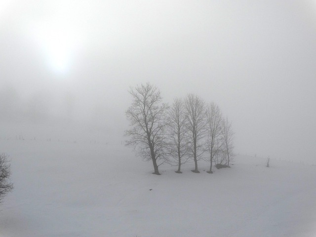 Free Lessinia Folignani photo and picture