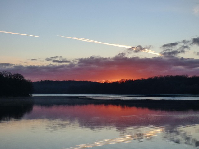 Free Landscape Pond photo and picture