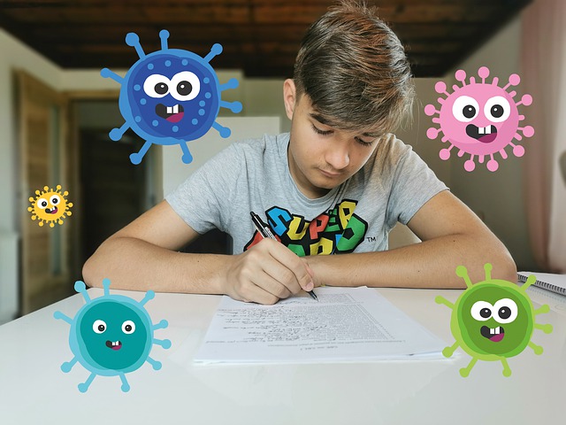 Schüler, Homeschooling