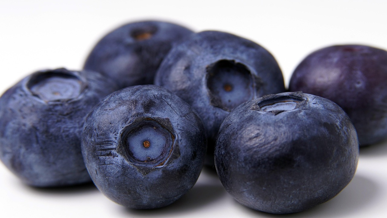 Blaubeeren Heidelbeeren Beeren Kostenloses Foto Auf Pixabay Pixabay Blaubeeren Heidelbeeren Beeren Kostenloses Foto Auf Pixabay Pixabay