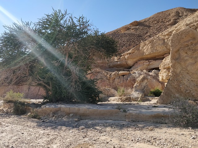 Free Desert Sun photo and picture
