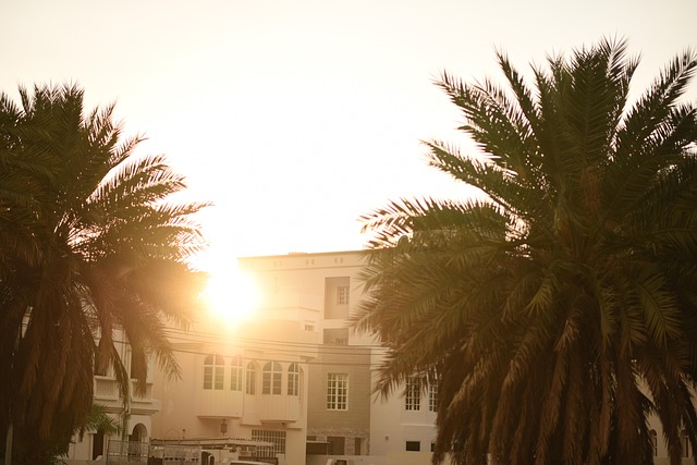 Oman, Håndflade, Wadi, Natur, Landsby