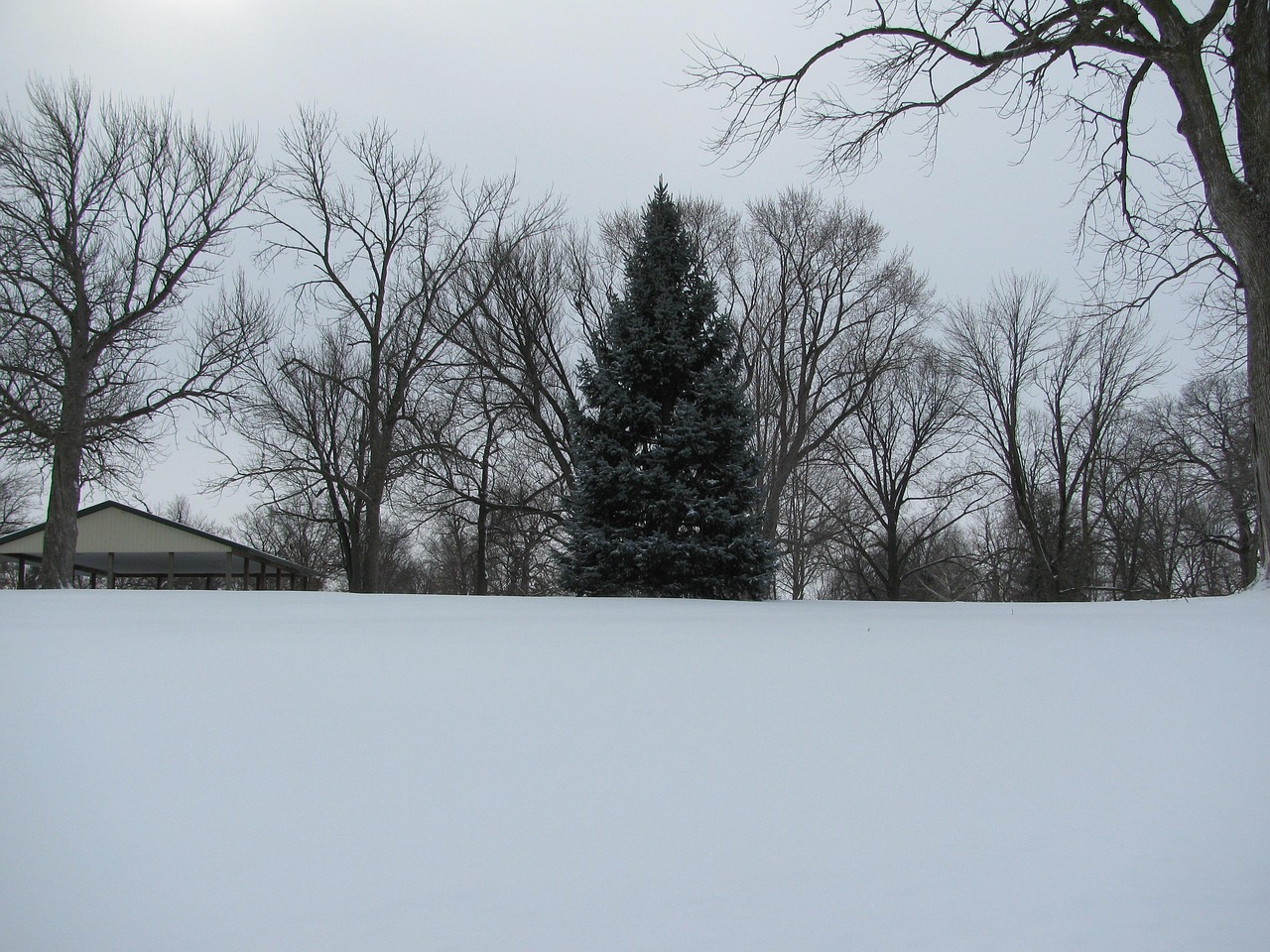Winterlandscape Winter Snow - Free photo on Pixabay - Pixabay