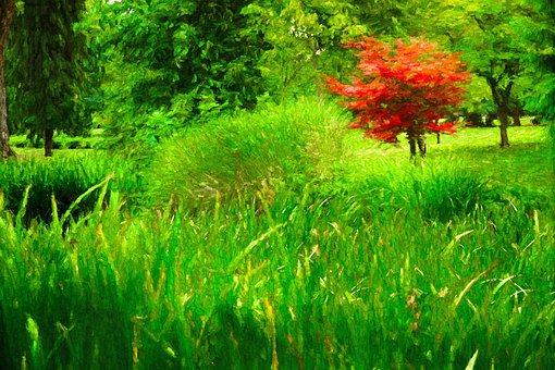 Free Springtime Park photo and picture