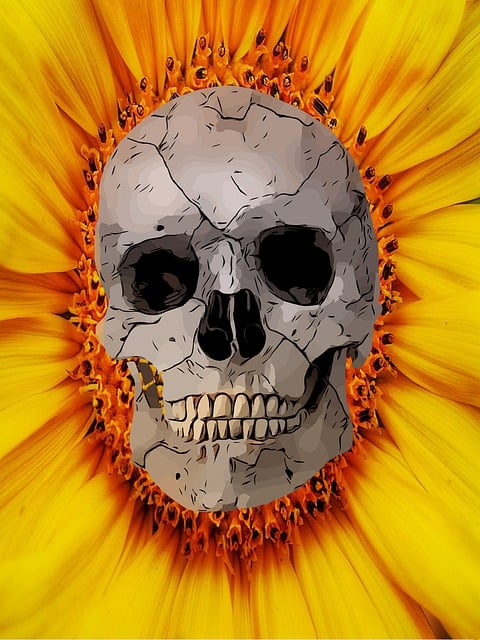 Free skull sunflower skeleton illustration