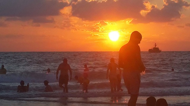 Free Beach Sunset photo and picture
