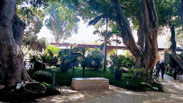 Free Acre Israel photo and picture