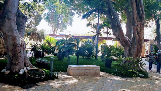Free Acre Israel photo and picture
