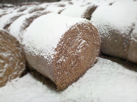 Free Packages Straw photo and picture