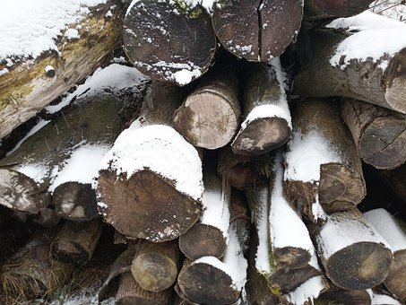 Free Wood Logs photo and picture
