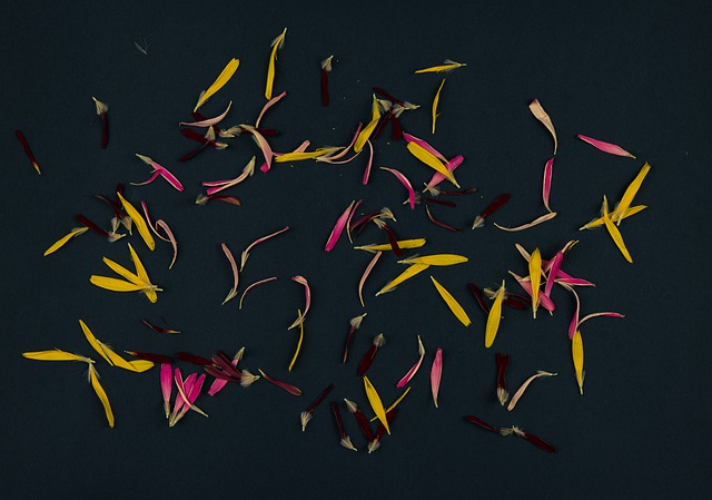 Free dried flower petals background illustration