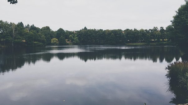 Free Lake Garden photo and picture