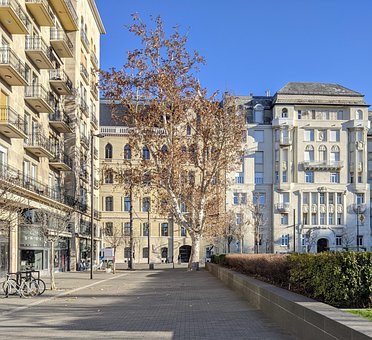 Træ, Vej, Gade, Fortov, Natur, Bygninger