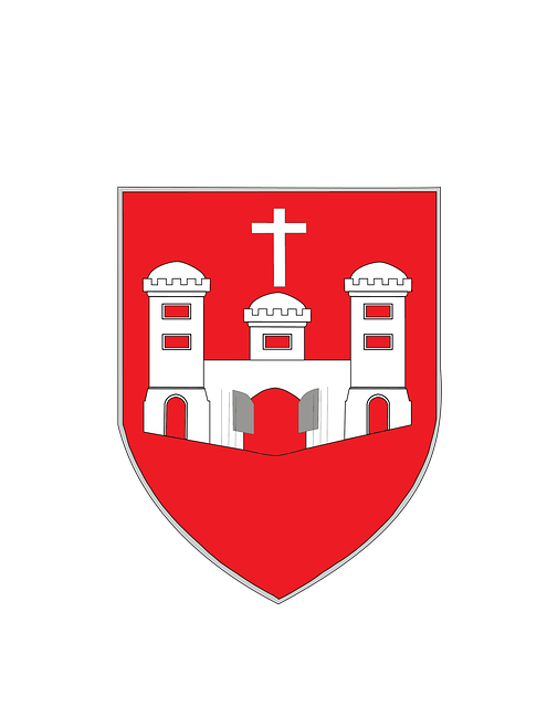 Free limerick county coat of arms illustration