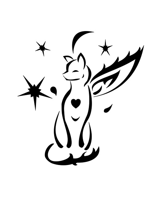 Free Cat Kitty photo and picture