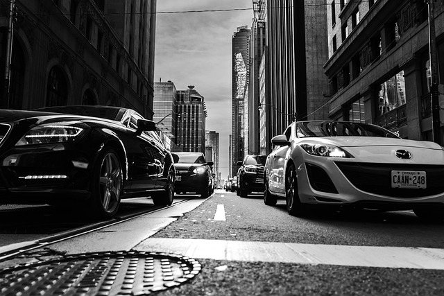 Free Skyline Cityscape photo and picture