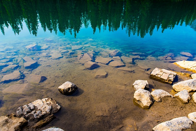 Free River Reflection photo and picture
