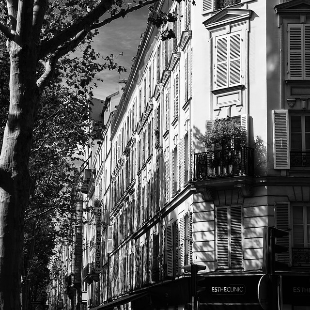 Free Paris Black photo and picture