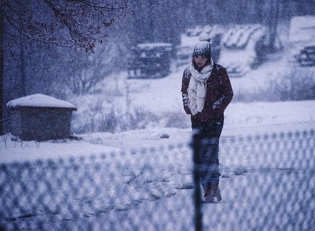 Free Snow Blowing Snow photo and picture
