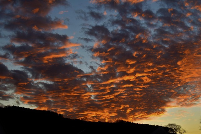 Free Sundown Sun photo and picture