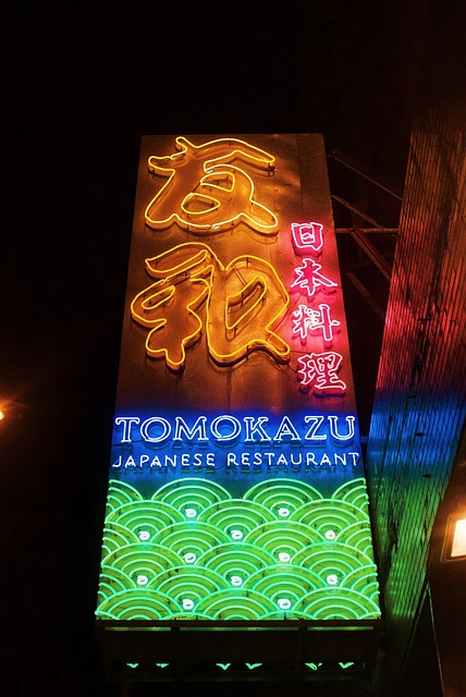 Klingenläufer, Cyberpunk, Neon Lights