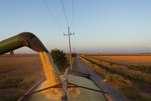 Free Farm Mexico photo and picture