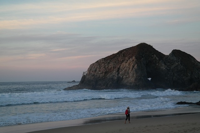 Free Beach Sunrise photo and picture