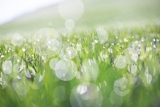 Free Morning Dew Light Beads photo and picture