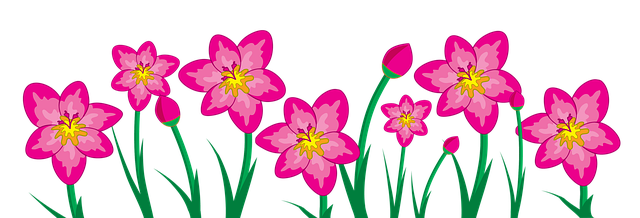 Free freesia flowers floral background illustration