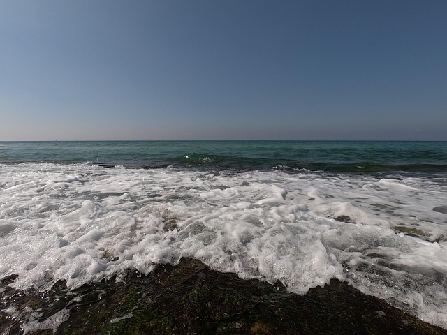 Free Ocean Sea photo and picture