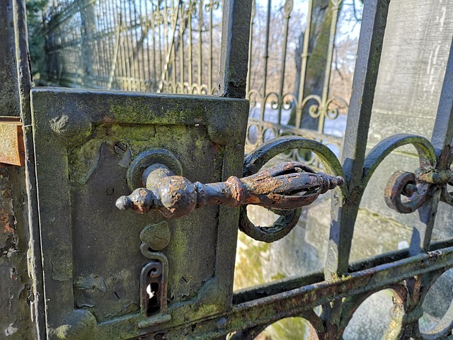Porta, Castelo, Ferrugem, Entrada, Velho