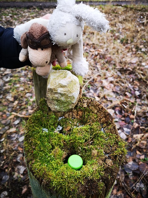 Geocaching, Ocultar, Geocache, Musgo