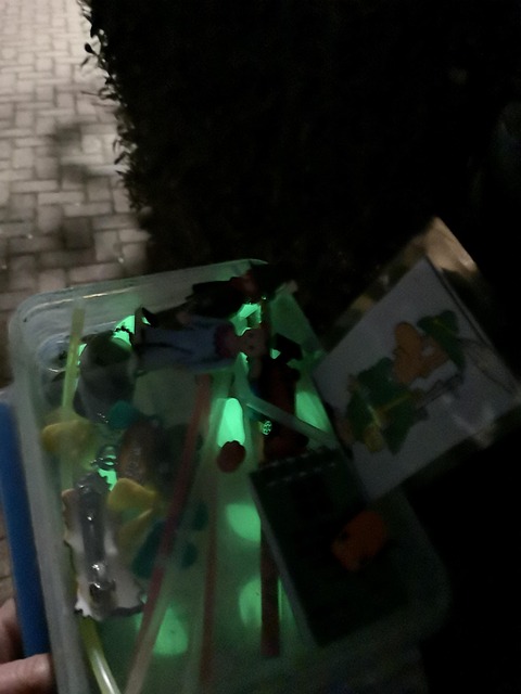 Geocaching, Ocultar, Geocache