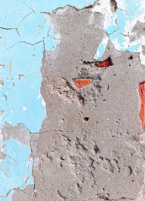 Free Wall Texture photo and picture