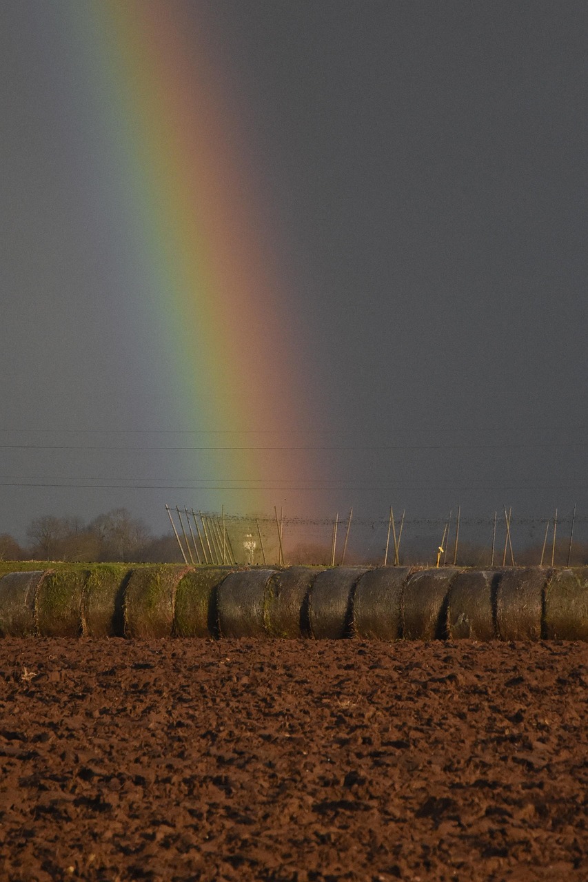 2 006 Images Gratuites De Arc En Ciel Couleur – CZHQM