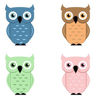 Búhos, Naturaleza, Aves, Personaje