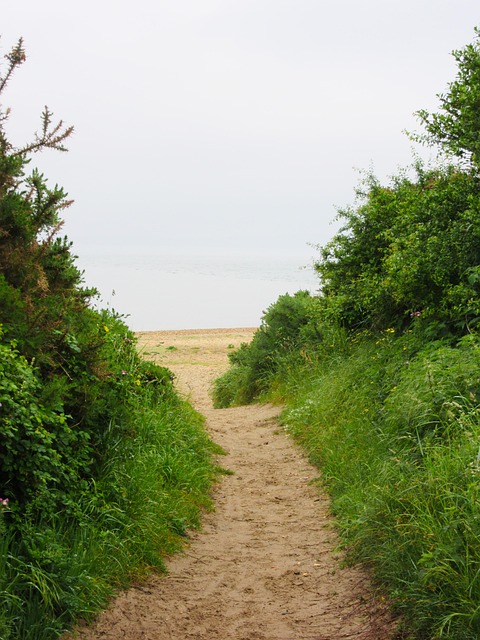 Free Path Beach photo and picture