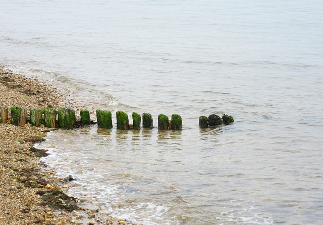 Free Sea Seashore photo and picture