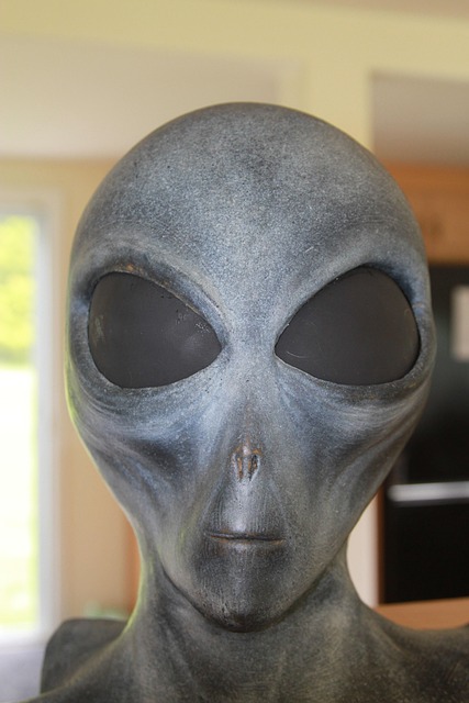 Free Alien Grey Alien photo and picture