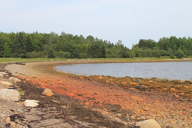 Free Oak Island Treasure Hunt photo and picture