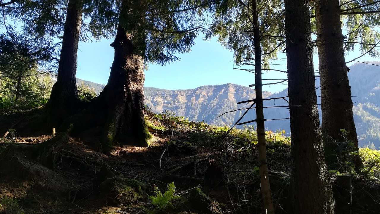 höchste berg im bayerischen wald