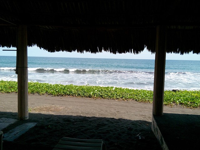 Free Beach Sea photo and picture