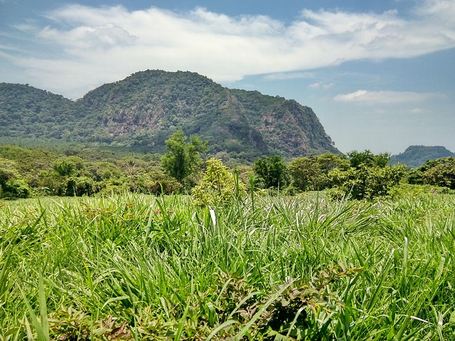 Free Mountain Gree photo and picture