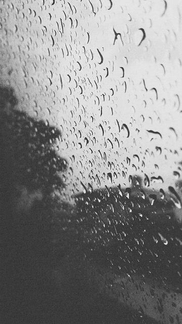 Free Rain Rainy Day photo and picture