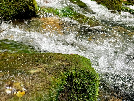 Free Stream River photo and picture