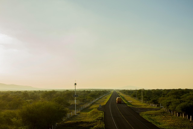 Free Road Pavement photo and picture